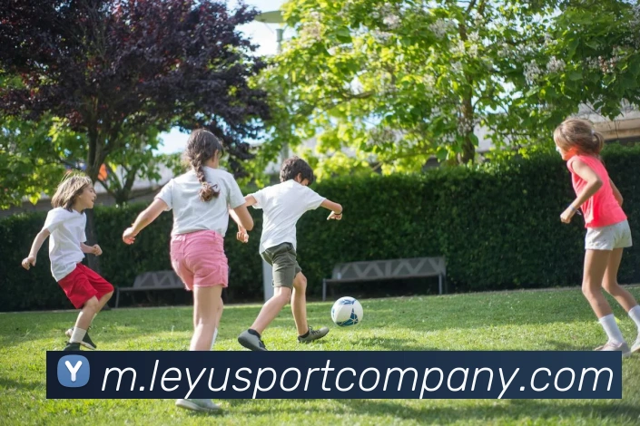 App Interface Preview