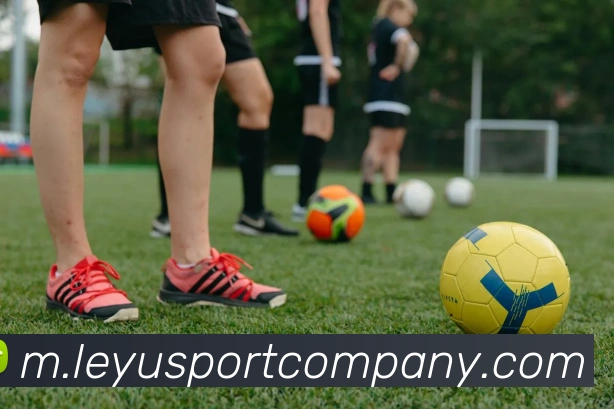 乐鱼体育APP 封面图